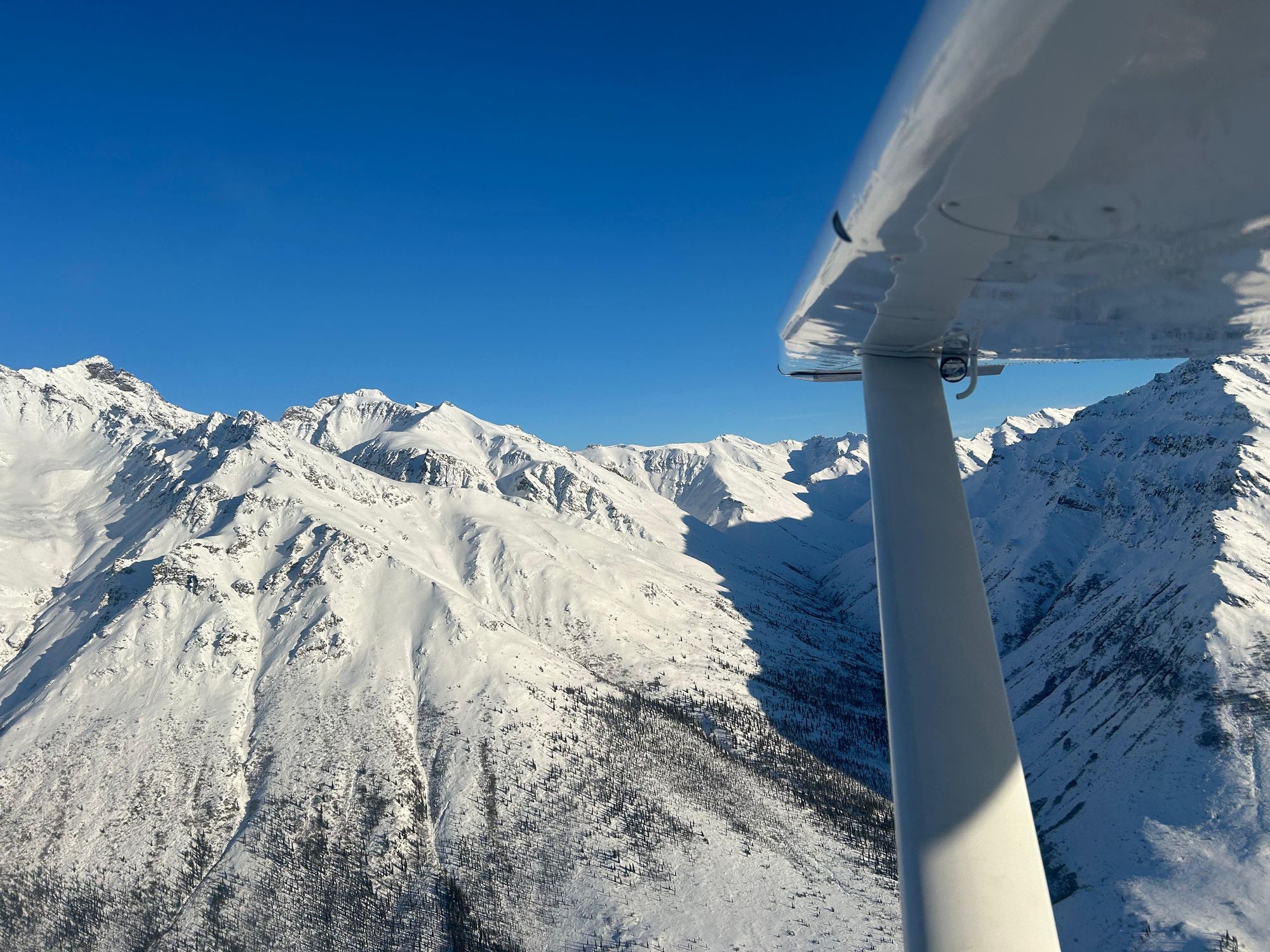 Denali Vista